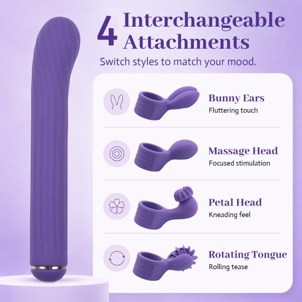 Secheal Wave — Vibrator Wand with Interchangeable Attachments